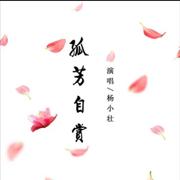 孤芳自赏（cover:杨小壮）