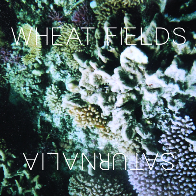 WHEAT FIELDS - Saturnalia