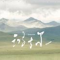 鸿古尔专辑
