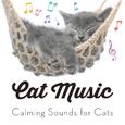 Cat Music - Calming Sounds for Cats