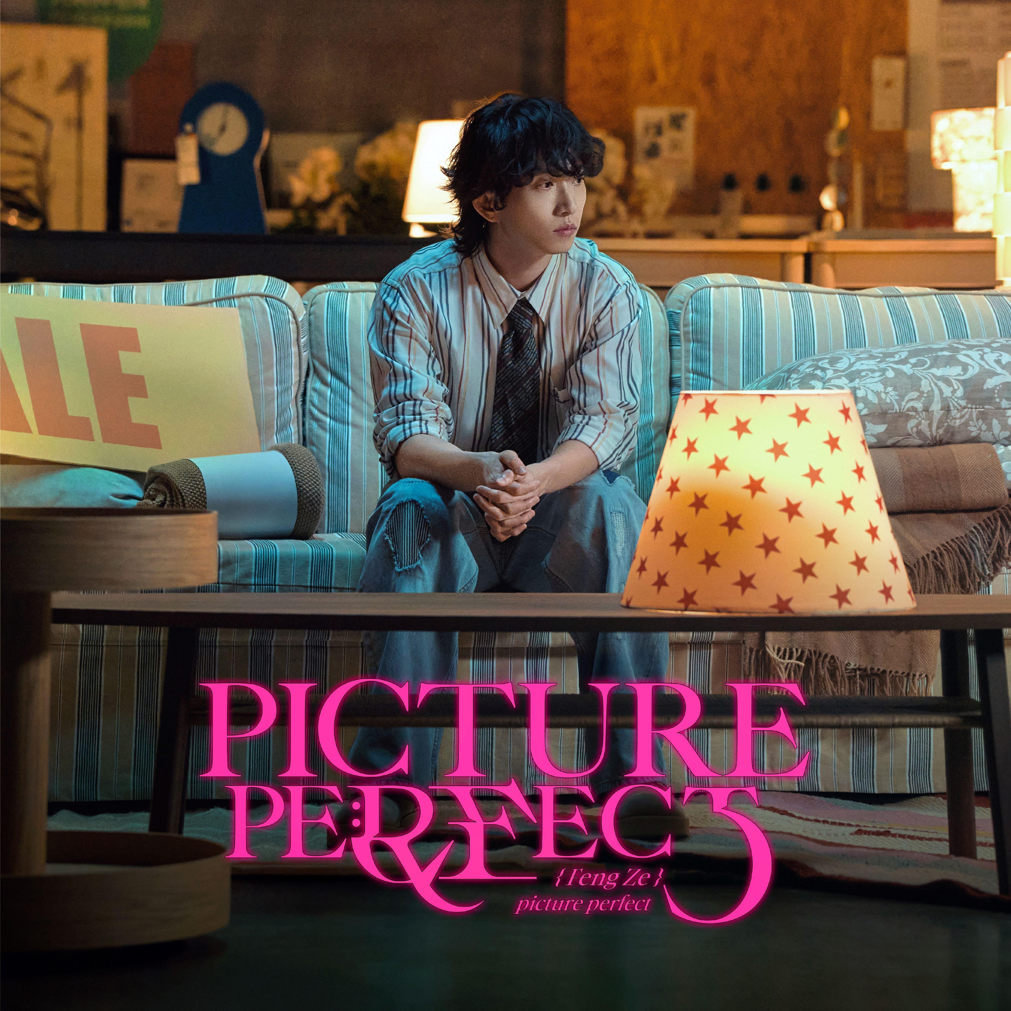 PICTURE PERFECT