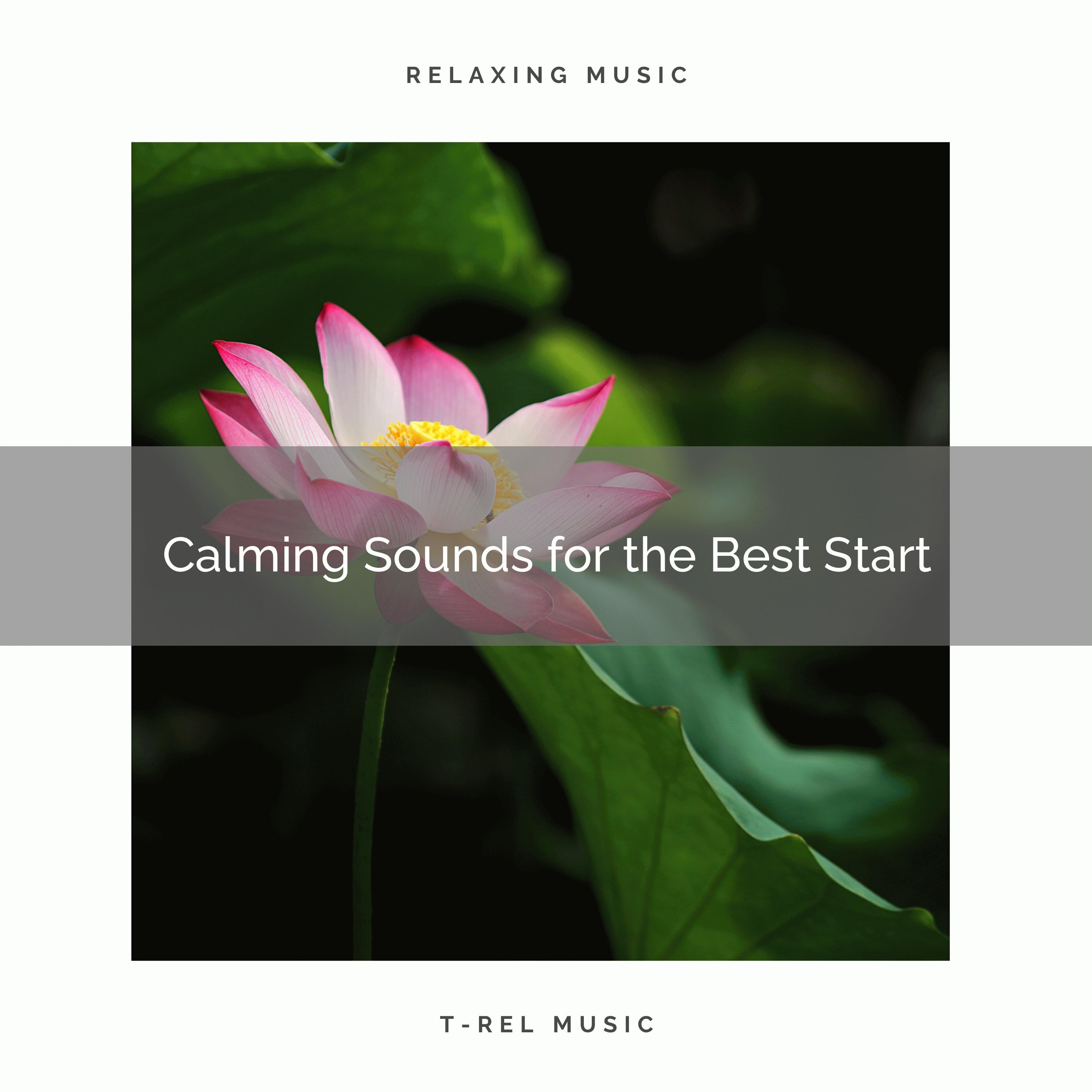 Deep Clarity - Calming Tunes for the Best Sleep