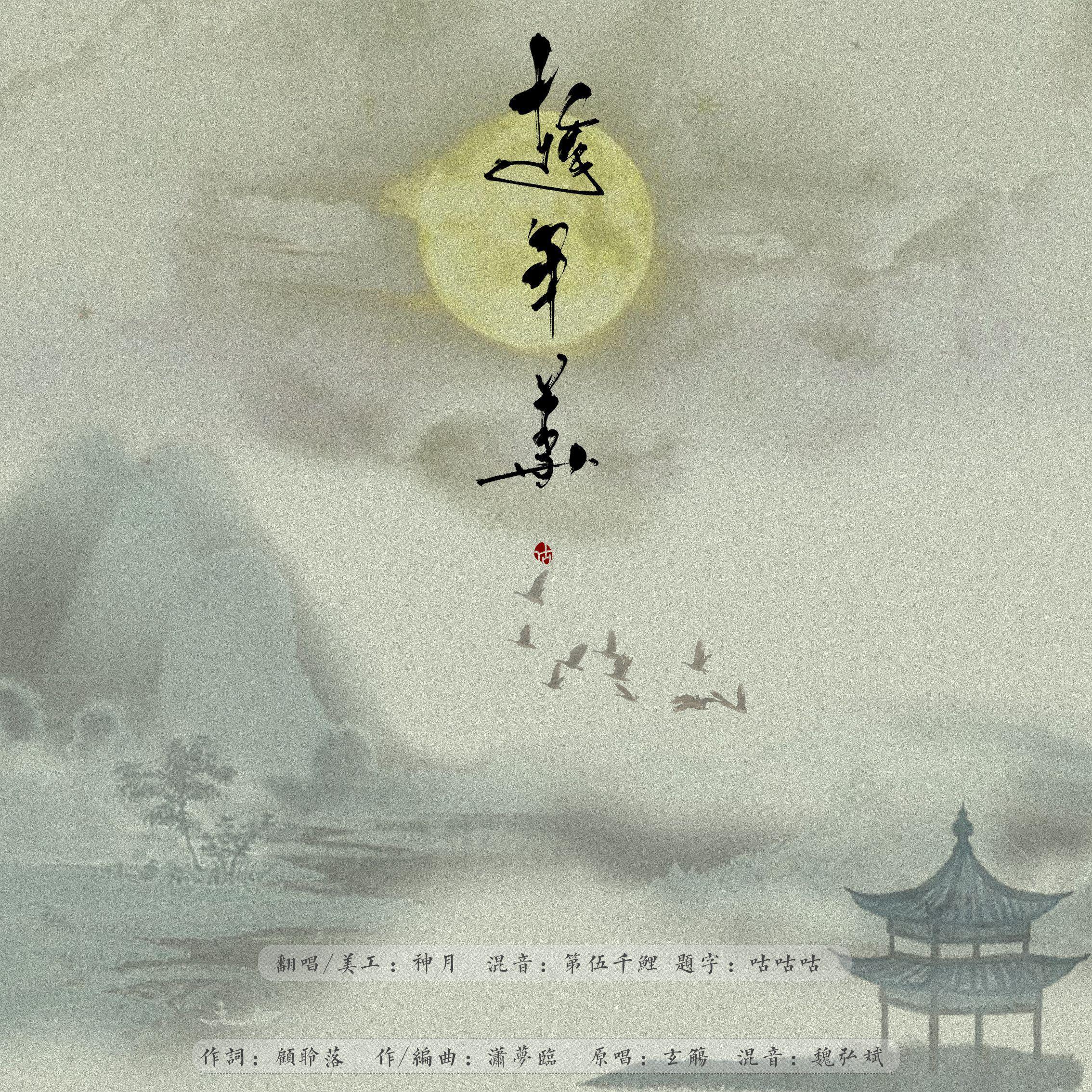 趁年华