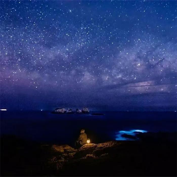 陈冠蒲 - 蓝眼泪（暮染烟岚 Proghouse Rmx 2024）