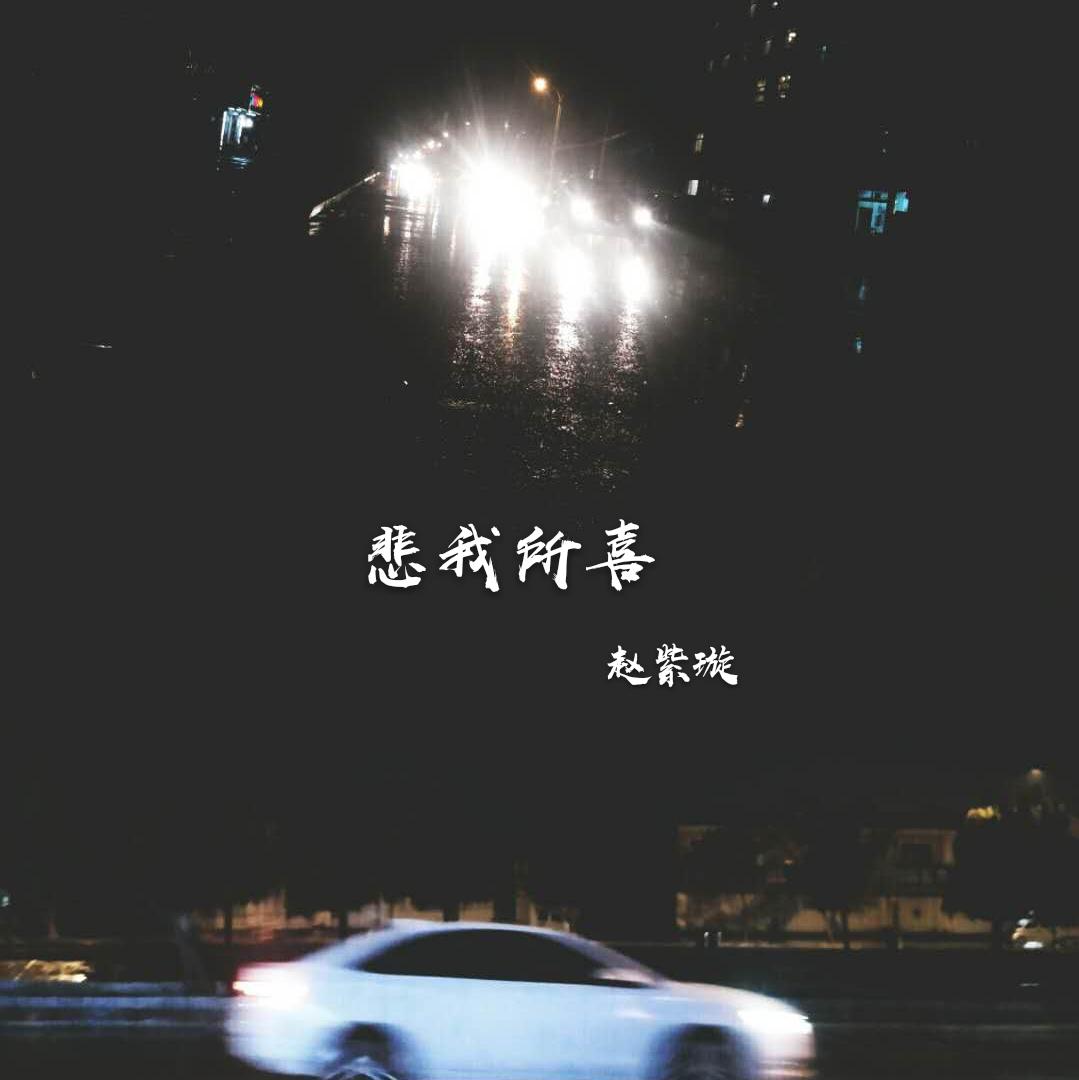 悲我所喜.demo专辑