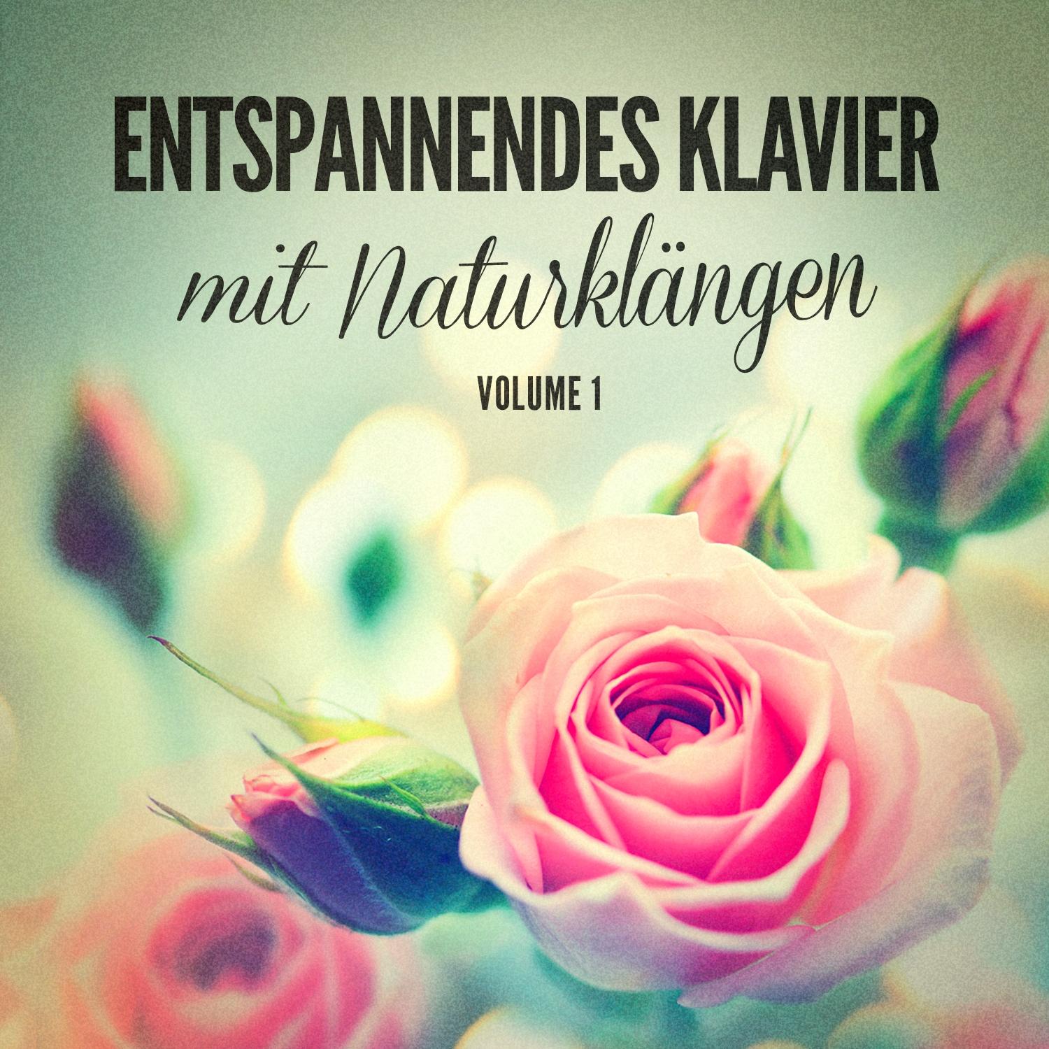 Entspannendes Klavier mit Naturklängen