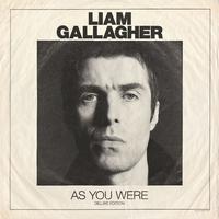 Liam Gallagher - Paper Crown (Z karaoke) 带和声伴奏