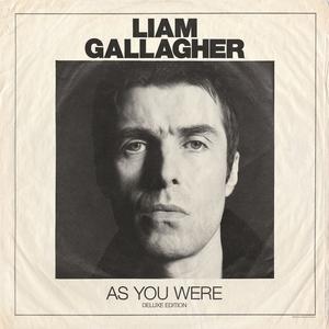 Liam Gallagher - Paper Crown (Z karaoke) 带和声伴奏 （降8半音）
