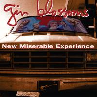 Gin Blossoms-Until I Fall Away