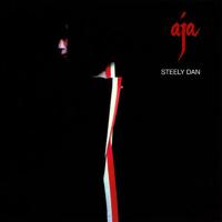 Josie - Steely Dan (unofficial Instrumental)