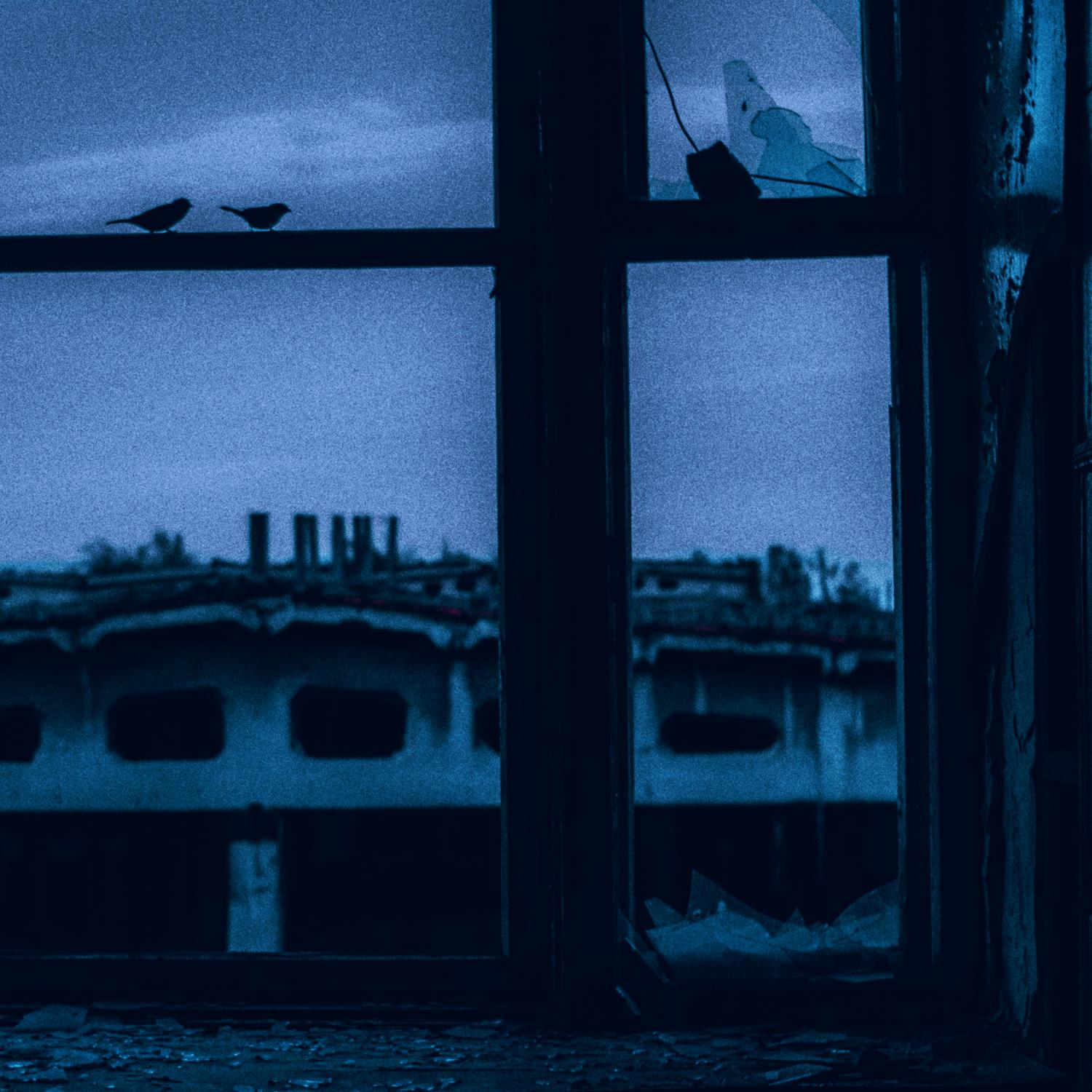 The Revolution Generation