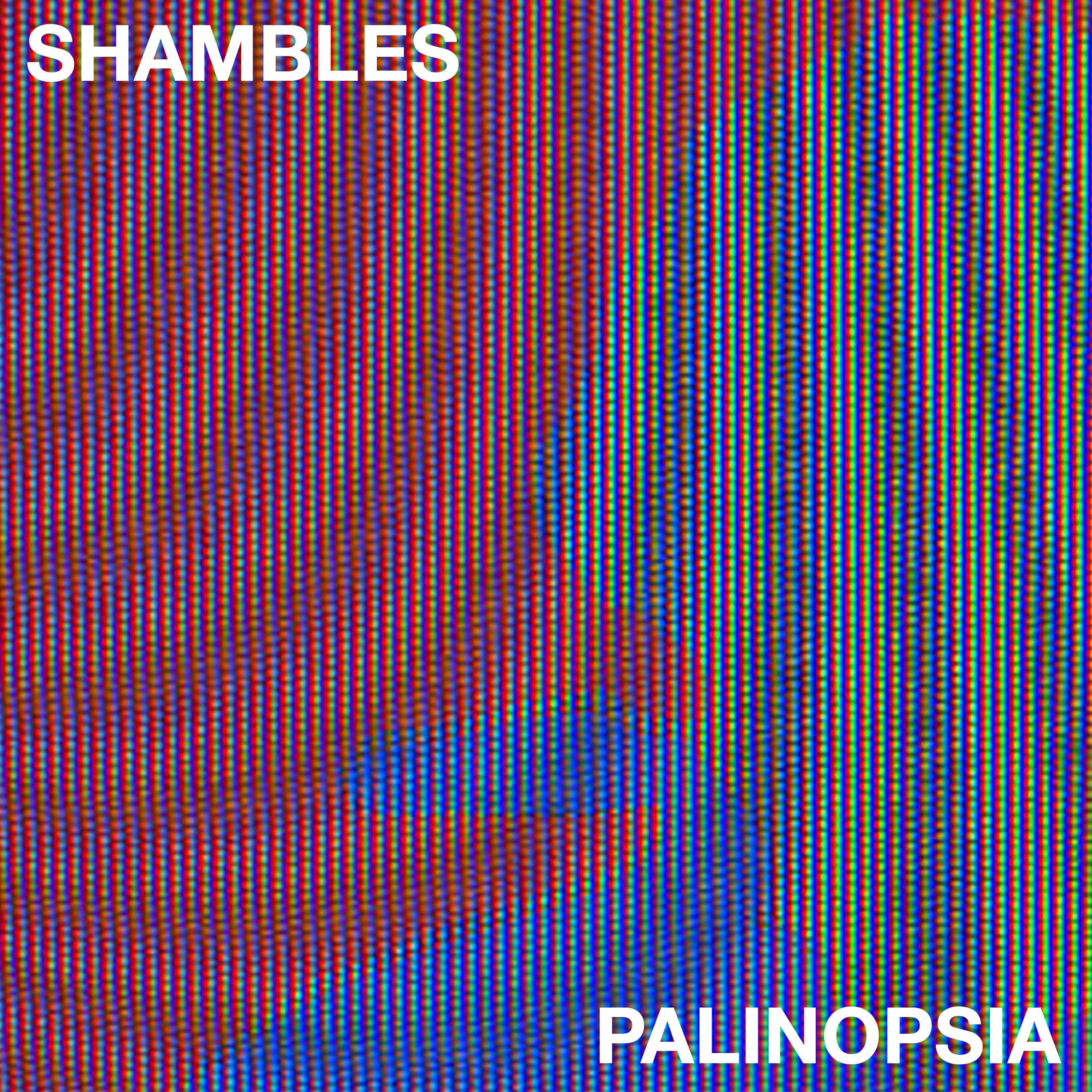 Palinopsia