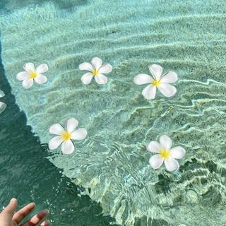 夏日歌单｜加州 海边 盐汽水 椰子树