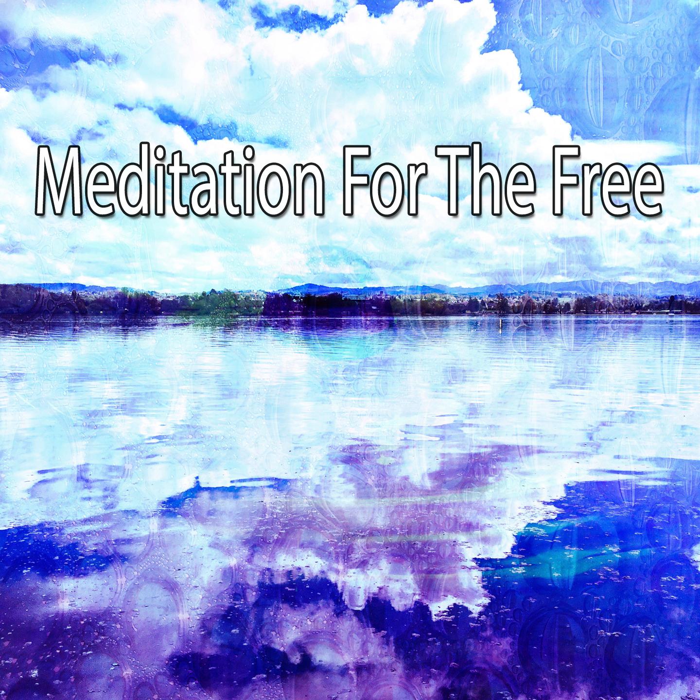 Meditation For The Free专辑