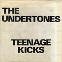 Teenage Kicks专辑