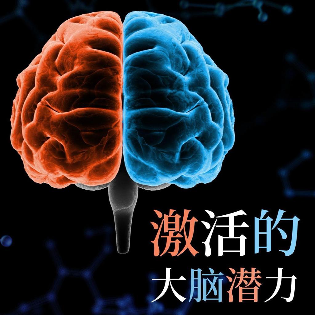 40赫兹伽马音频 | 在线播放 | 网易云音乐
