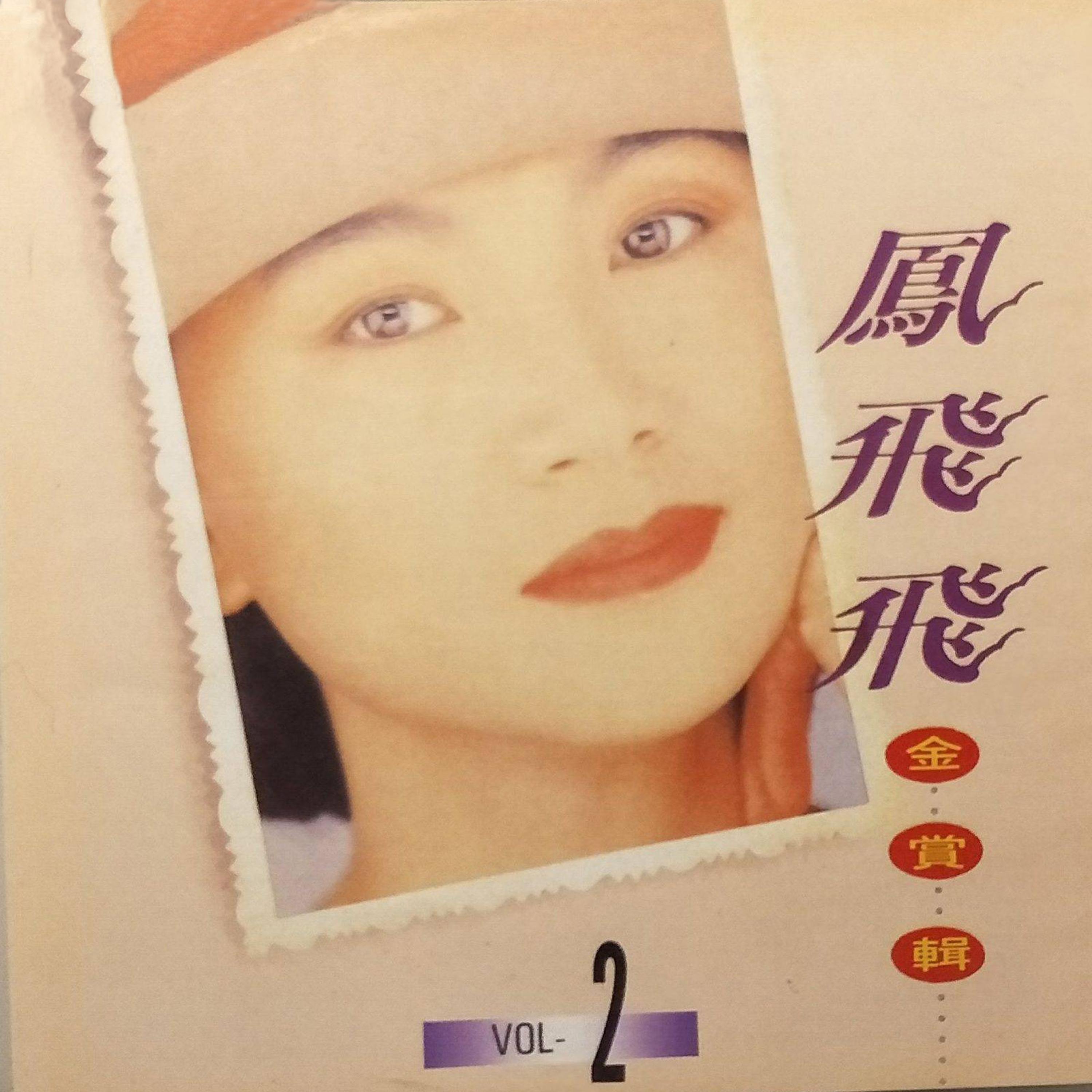 凤飞飞歌曲封面