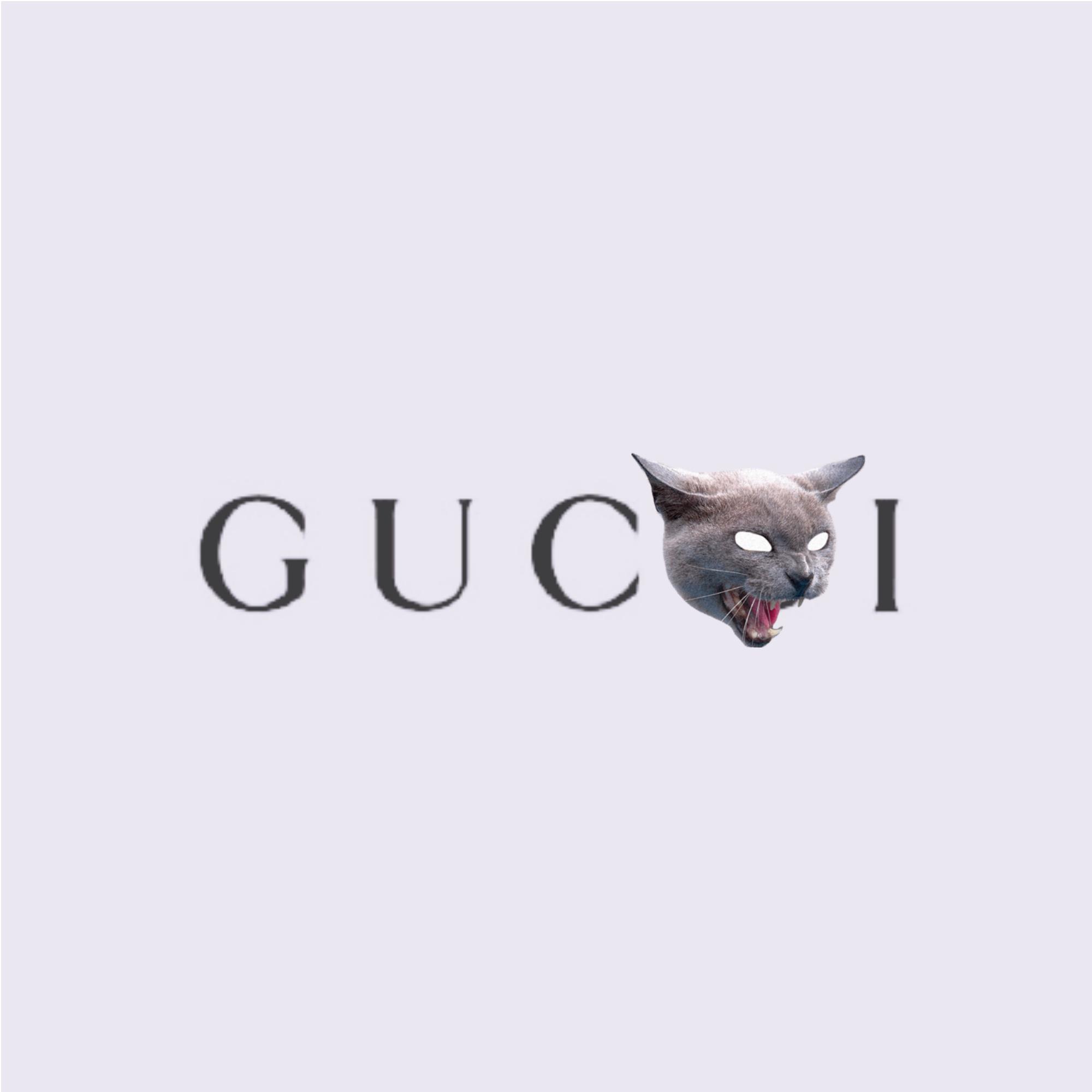 Lil GUCCI专辑