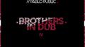 Brothers In Dub Vol. IV专辑