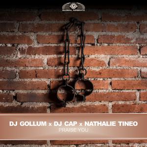 DJ Gollum & DJ Cap & Nathalie Tineo - Praise You (Pre-V) 带和声伴奏 （降5半音）