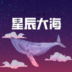 星辰大海