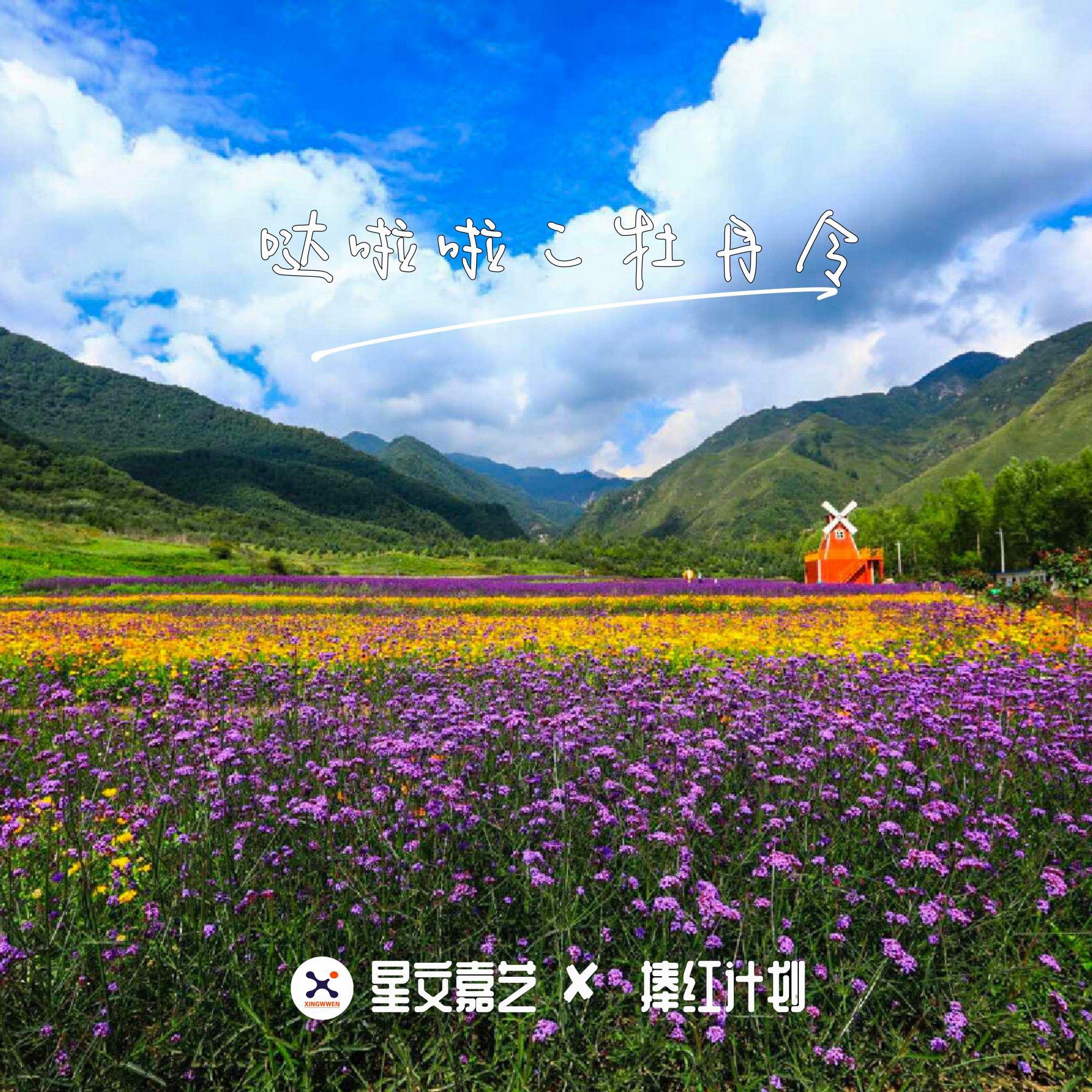 哒啦啦二牡丹令