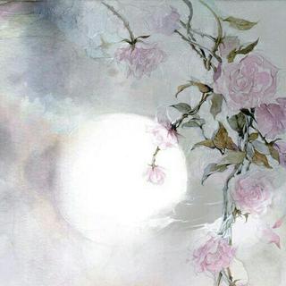 琴曲指尖凝，清水芙蕖脱尘嚣