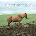 Audrye Sessions专辑