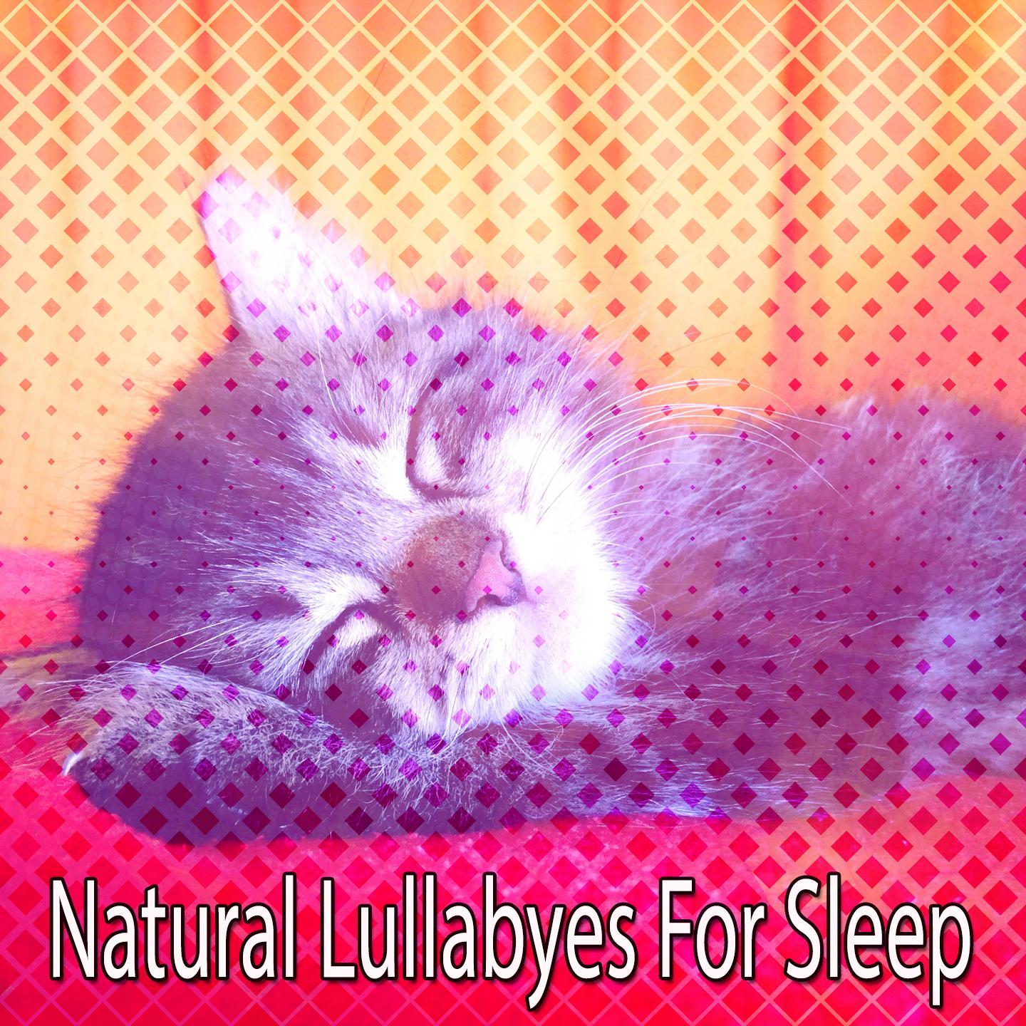 Natural Lullabyes For Sleep专辑