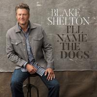 I\'ll Name The Dogs - Blake Shelton (karaoke)