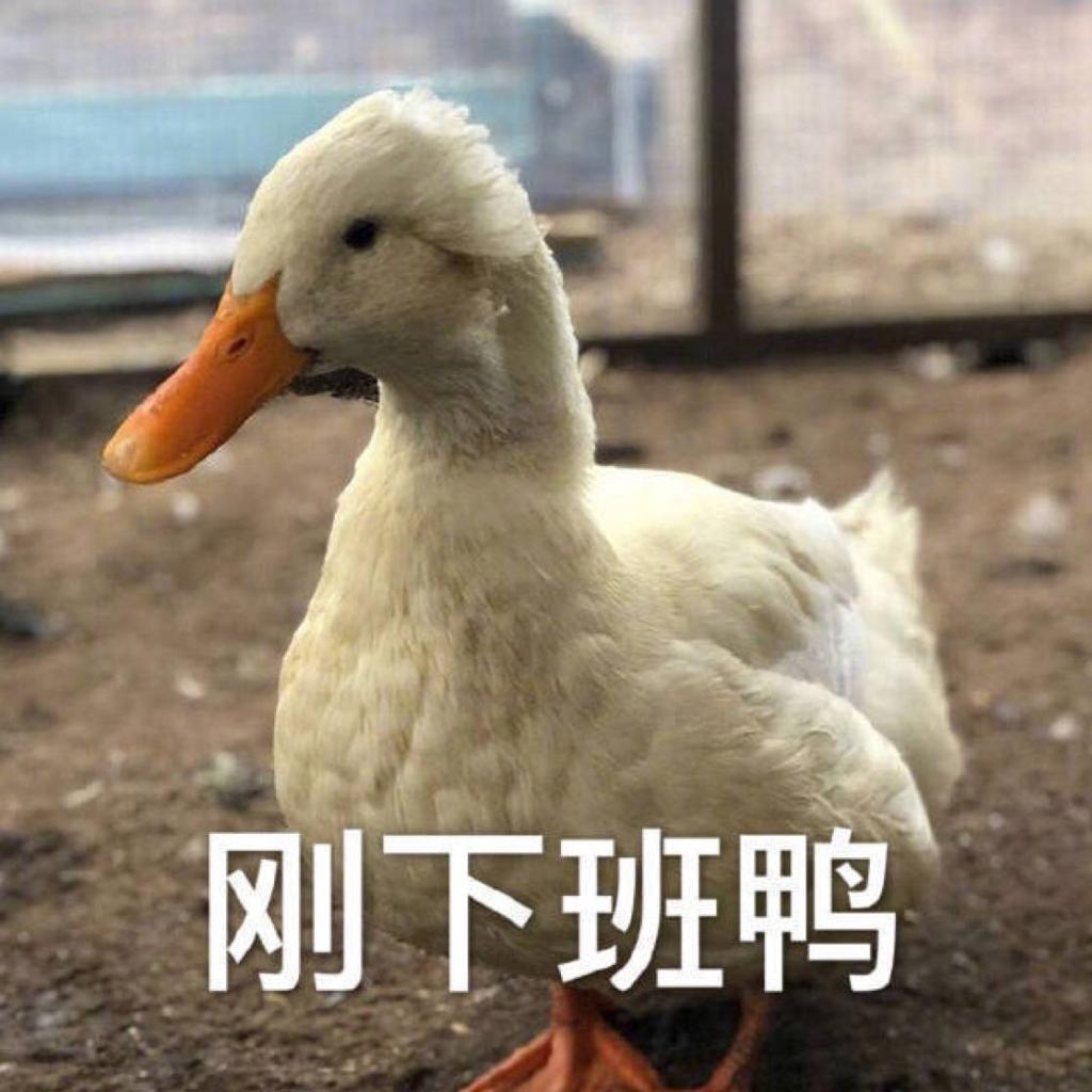 通用>设置>加班时自动播放