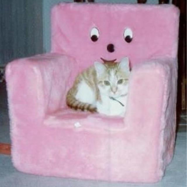 梦と叶桜（Cover 初音ミク）