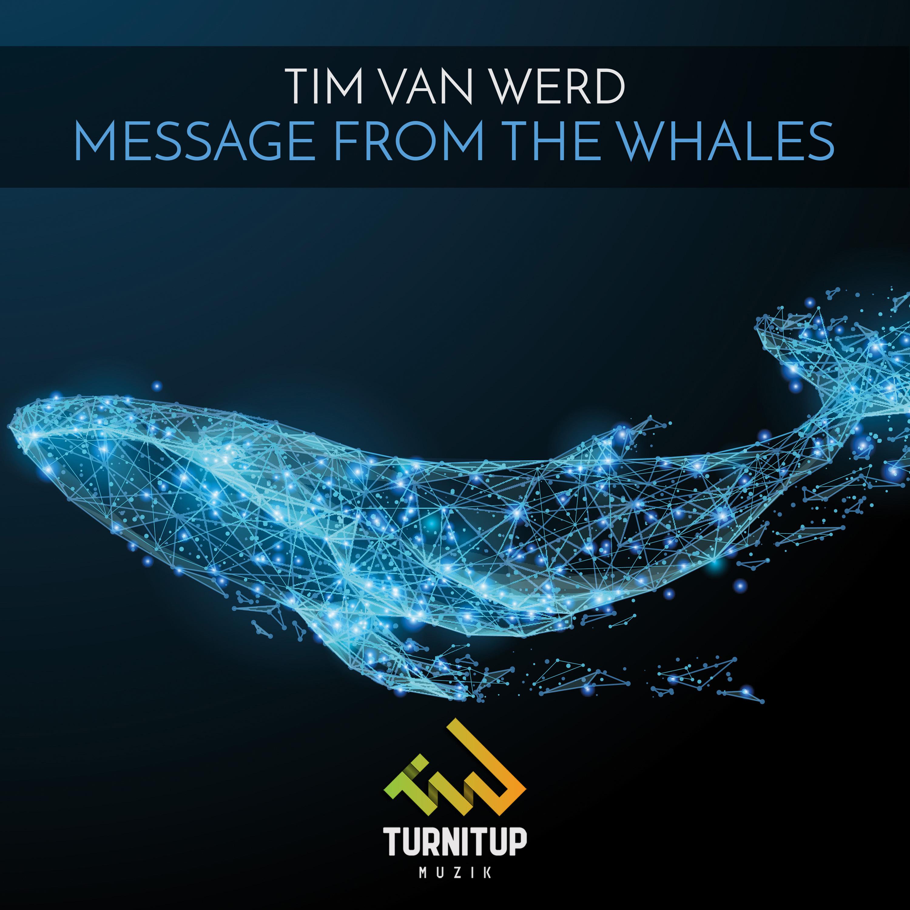 Message from the Whales专辑