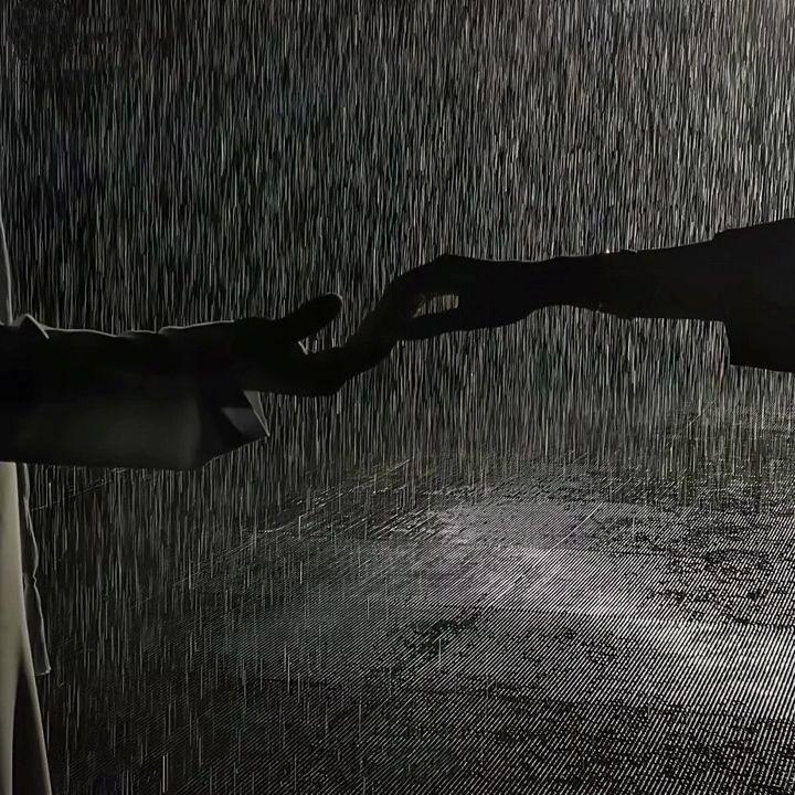 爱江山更爱美人 烟嗓版