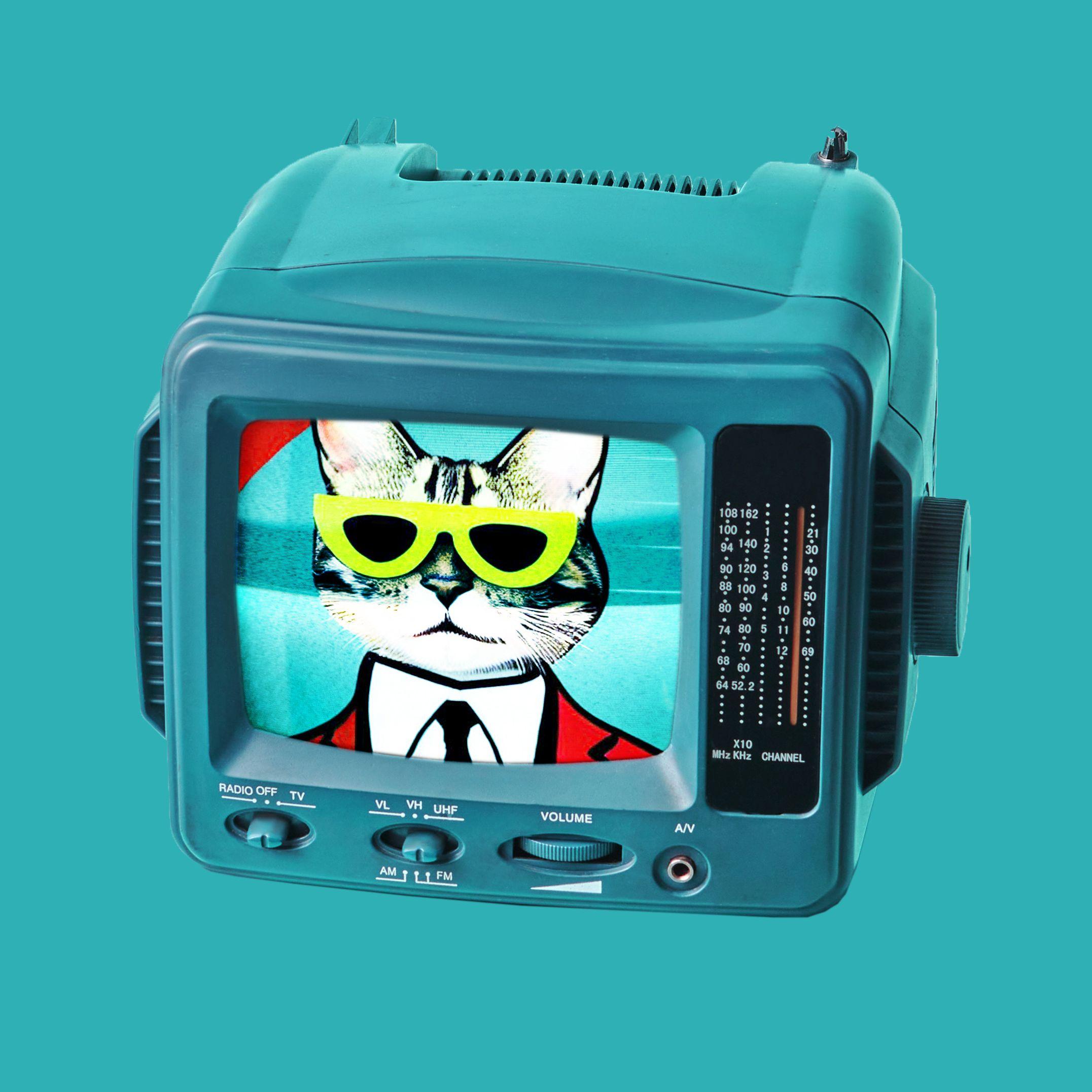 CATs Play