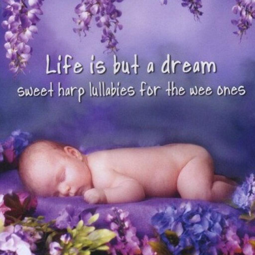 婴儿催眠曲 Baby's dream