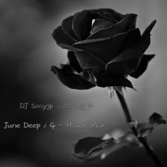 DJSzoyjp. 欧阳建平 June Deep / G - House Mix专辑