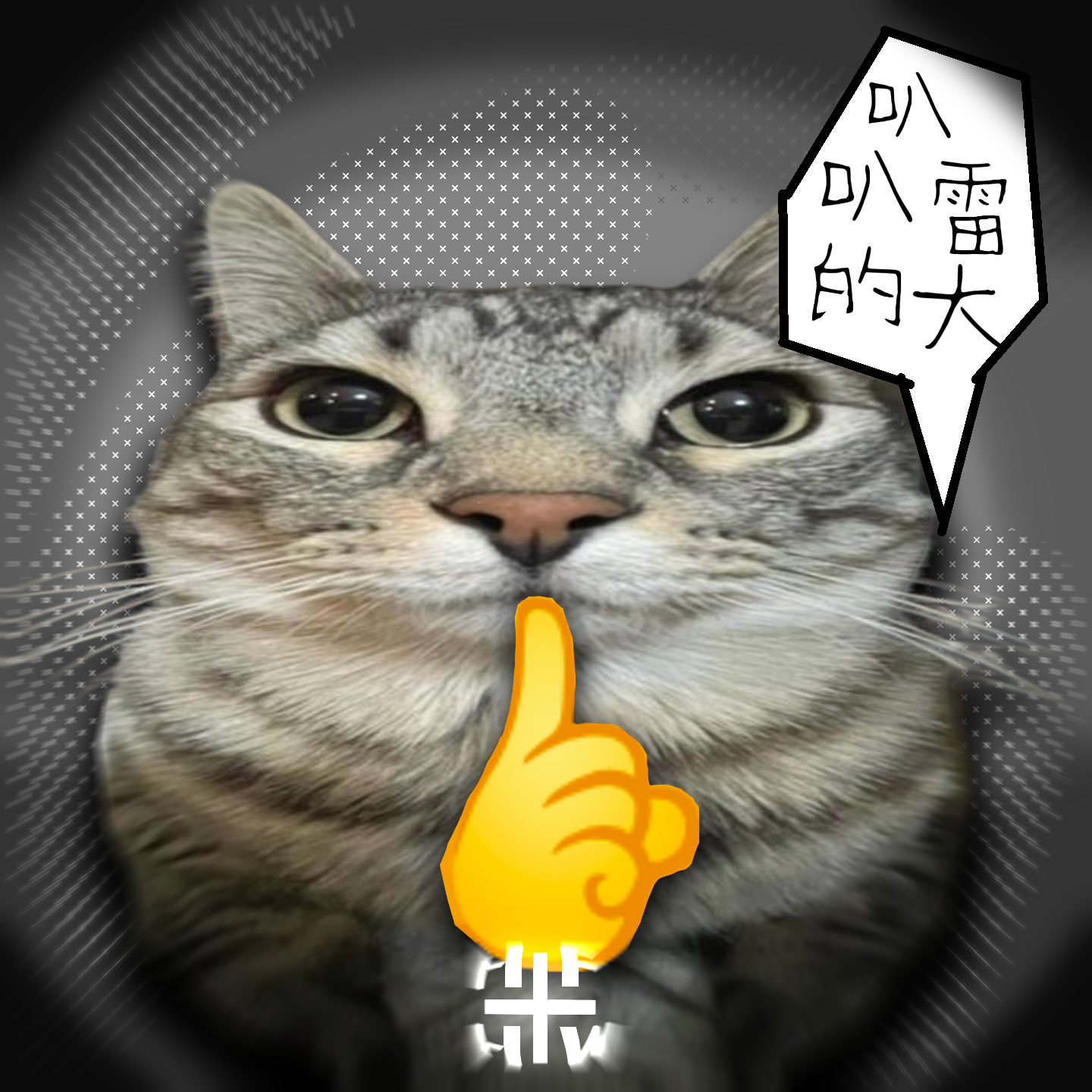 叭叭的雷大 FUNK