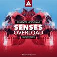 Senses Overload (The Remix)