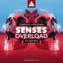 Senses Overload (The Remix)专辑