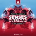Senses Overload (The Remix)专辑