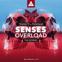 Senses Overload (The Remix)