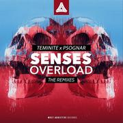 Senses Overload (The Remix)