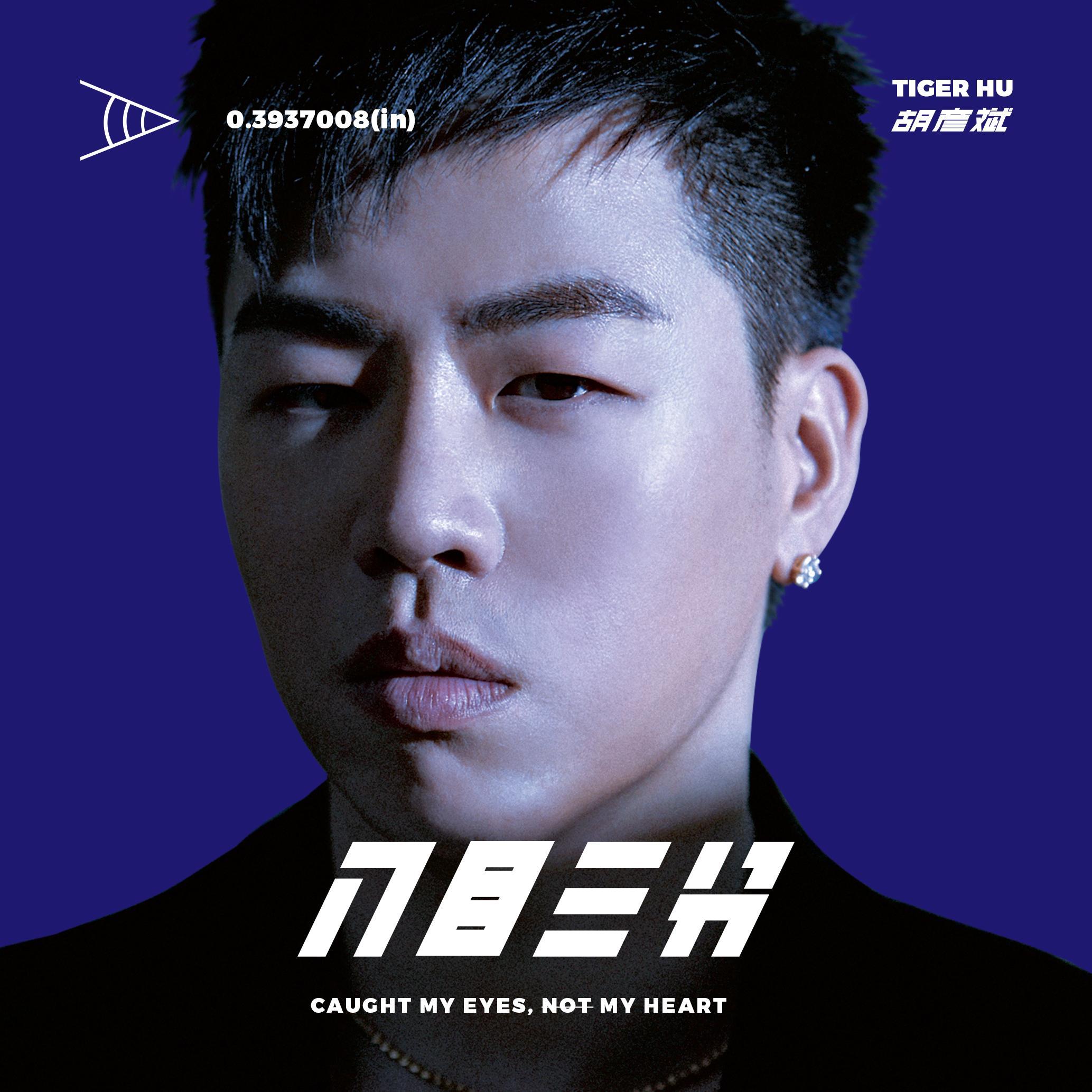 胡彦斌-《入目三分》