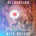 Relaxation with Nature – Relaxing Waves, Peaceful Mind, Healing Music to Calm Down, Therapy Sounds, 