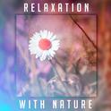 Relaxation with Nature – Relaxing Waves, Peaceful Mind, Healing Music to Calm Down, Therapy Sounds, 专辑