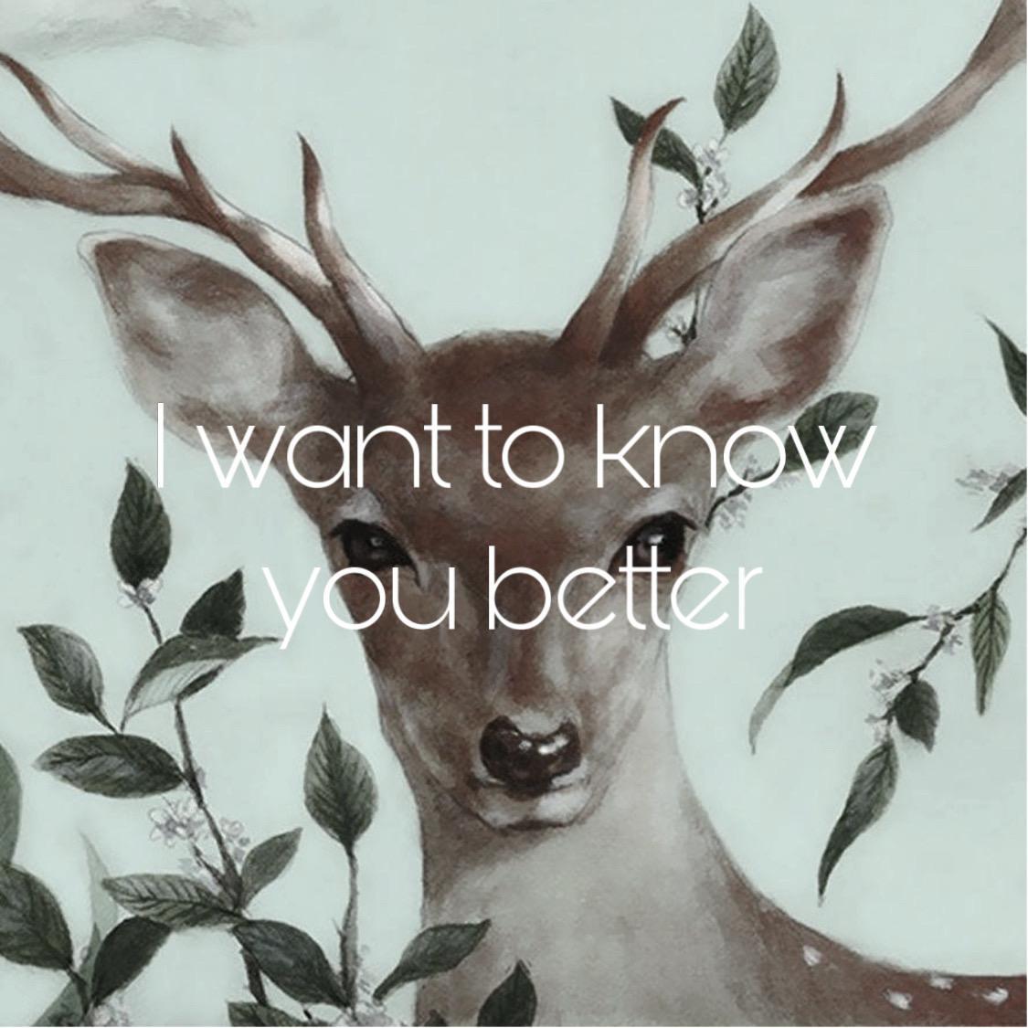 潘玮柏-我想更懂你 DJK 2020（djk remix）