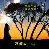 忘情水（2023时尚嘉宾EDM电音舞曲资料）男嘉宾伴奏--B版 男嘉宾伴奏