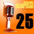 Karaoke, Instrumentals, Backing Tracks, Vol. 25