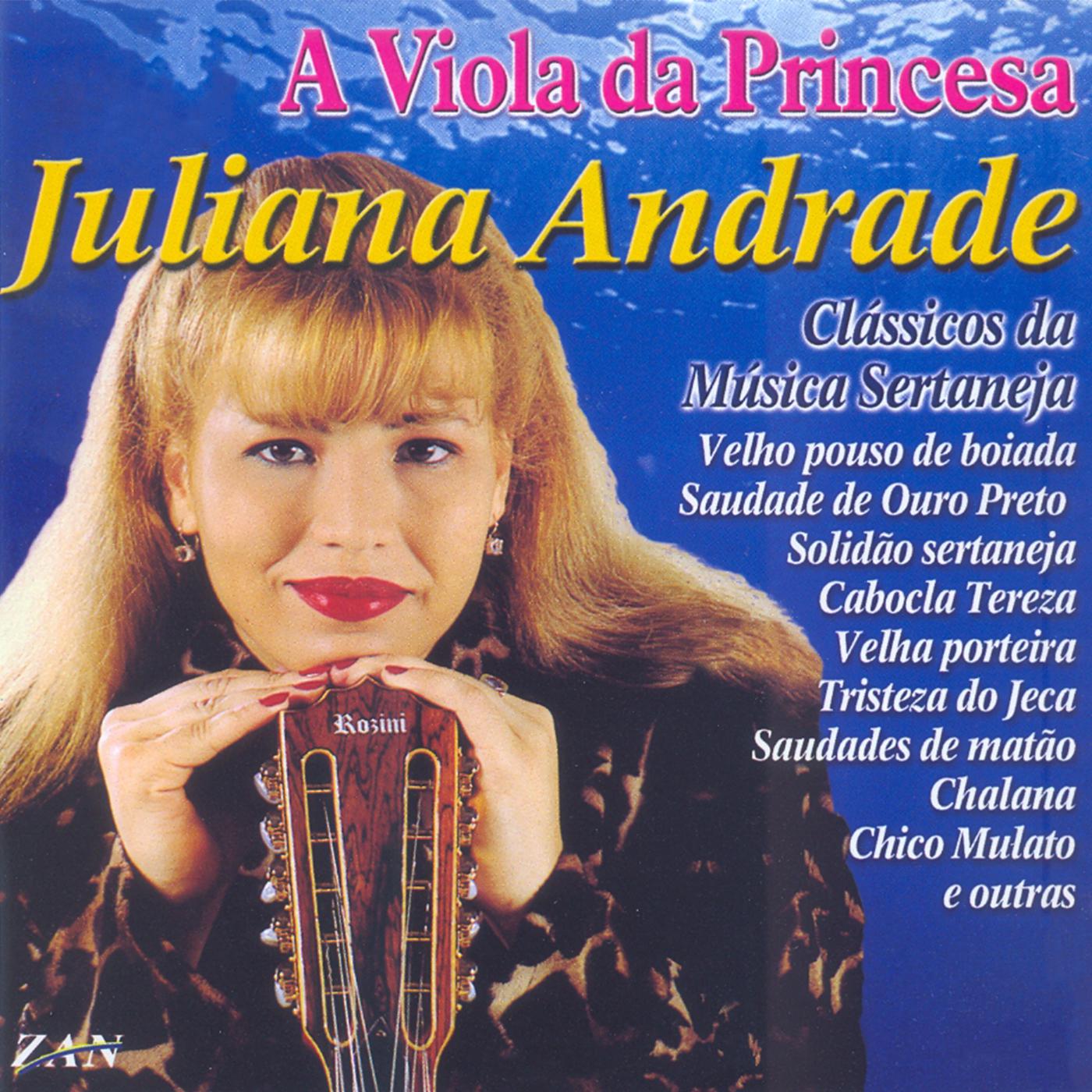 Juliana Andrade - A Coisa Tá Feia (Seleção de Pagodes)